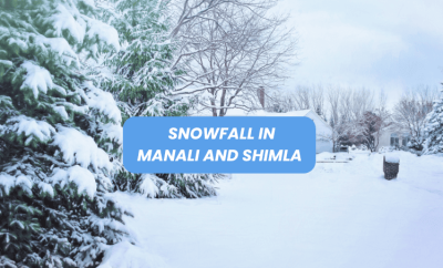 Experience Snowfall in Manali and Shimla: Your Perfect Winter Getaway in 2025